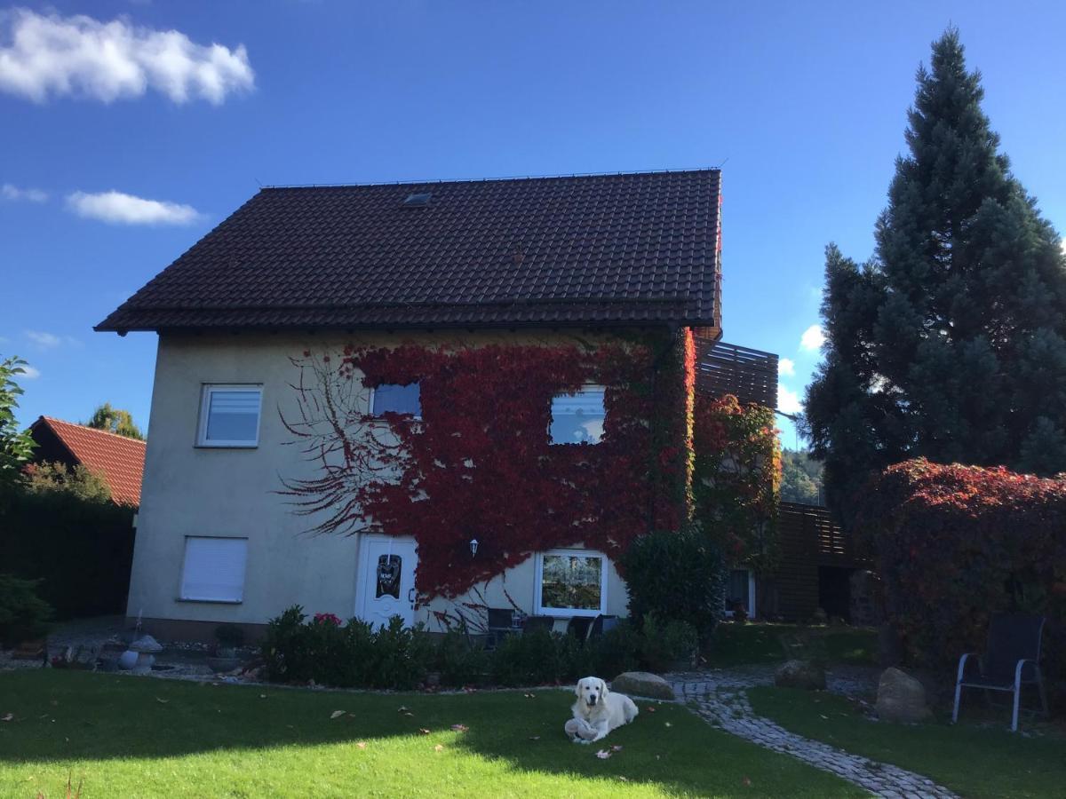 Ferienwohnung Elli Gernrode  Kültér fotó